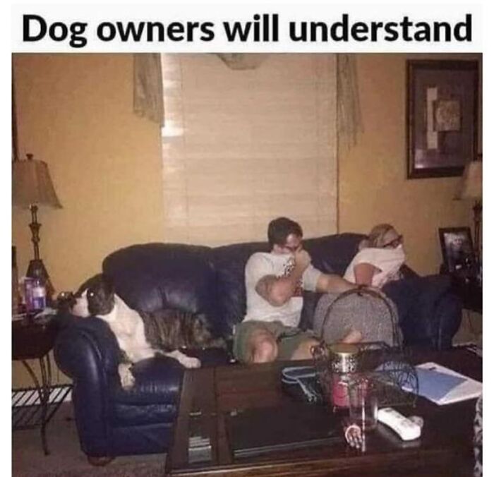Couple relaxing on a couch with dog, enjoying a cozy evening at home.