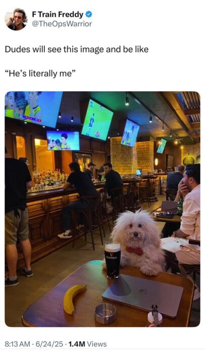 Cozy bar scene with a dog, patrons, sports TVs, and relaxing, rustic ambiance.
