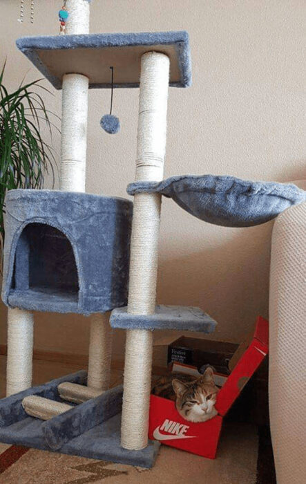 Cozy indoor cat tree with scratching post, hideaway, and playful toy near a red Nike shoebox.
