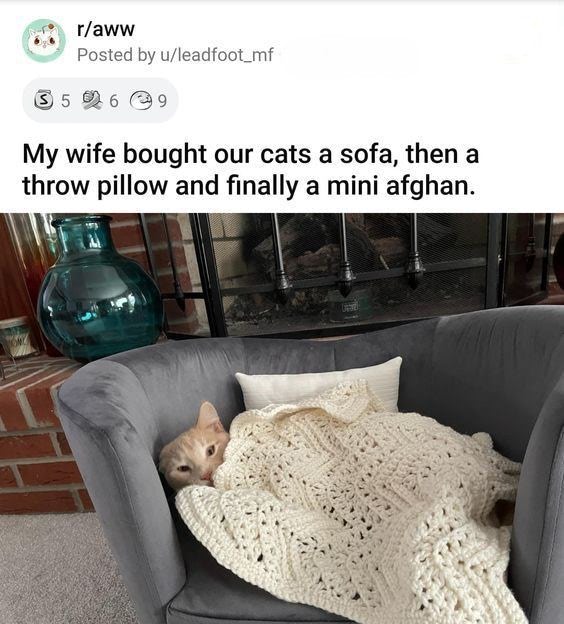 Cozy cat on plush sofa with crocheted blanket near fireplace in a charming home.