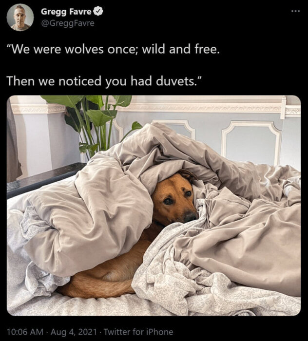 Cozy golden-brown dog nestled in soft duvet covers with indoor plants for a warm, relaxing bedroom scene.