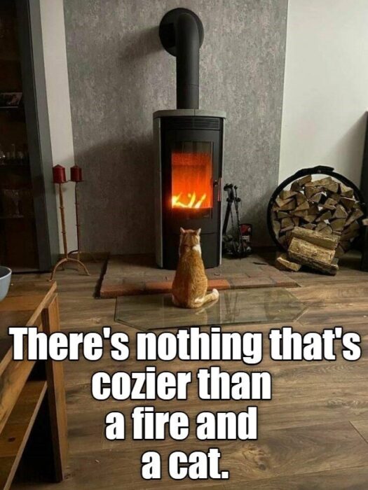 Cozy indoor scene with a cat by a modern fireplace, warm glow, and winter comfort.