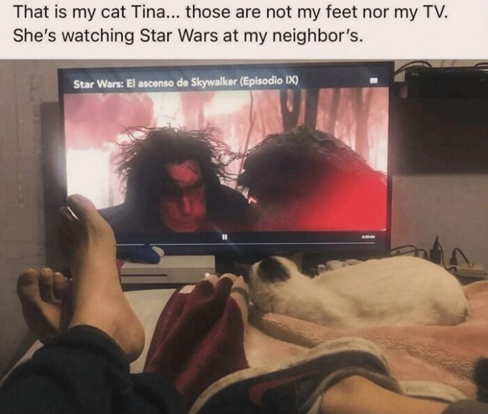 Cozy home movie night with cat and TV showing Star Wars: The Rise of Skywalker.