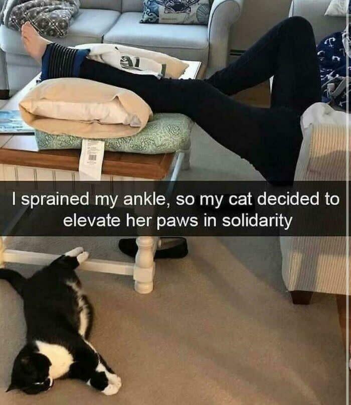Pet and owner relaxing together on couch, supporting injured ankle, cozy home, and playful cat companionship.