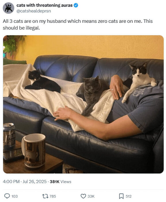 Cozy living room with three cats lounging on a blue leather couch and a relaxed man.
