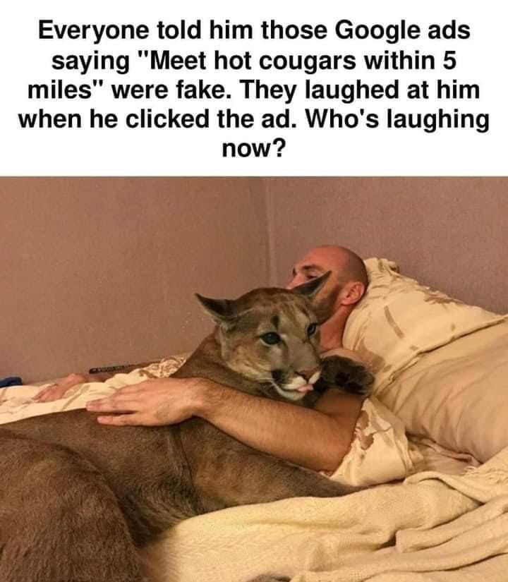 Relaxed man cuddling mountain lion in cozy bedroom, humorous wildlife friendship photo.
