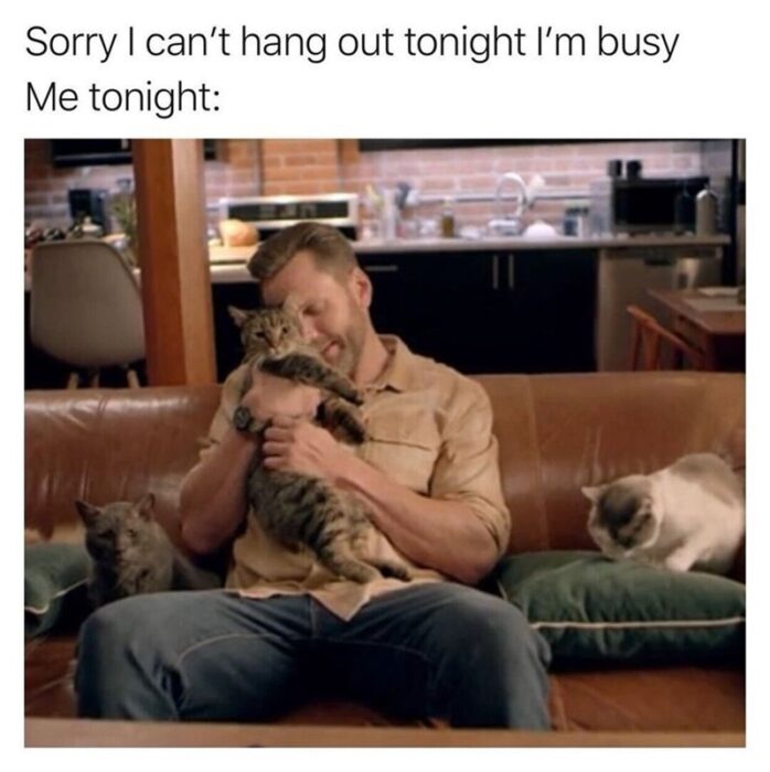 Relaxing evening with a man and his cats on a cozy, modern living room sofa.