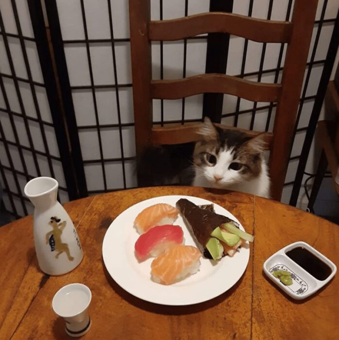 Cozy sushi dining with a curious cat at a rustic wooden table and traditional Japanese decor.