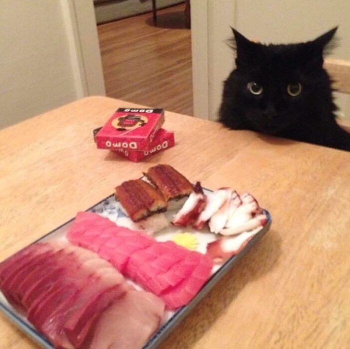 Cozy indoor sushi night with a curious black cat watching on wooden table.