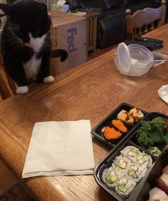 Black and white cat eyeing colorful sushi tray on cozy wooden dining table.