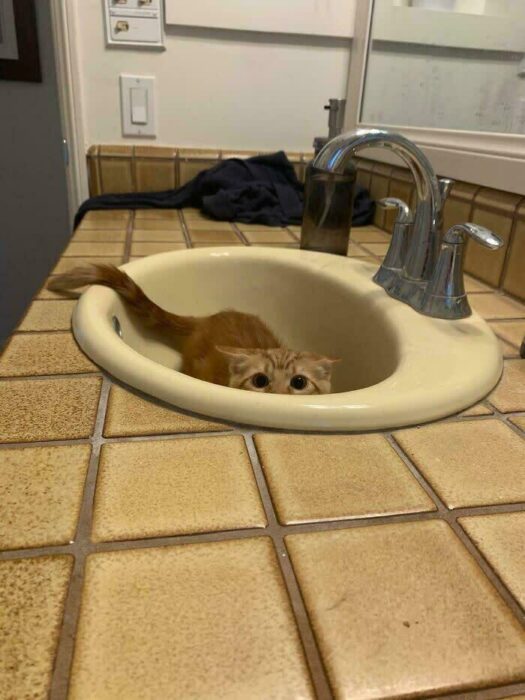 Playful orange cat peering from bathroom sink in cozy, tiled bathroom with mirror and chrome faucet.