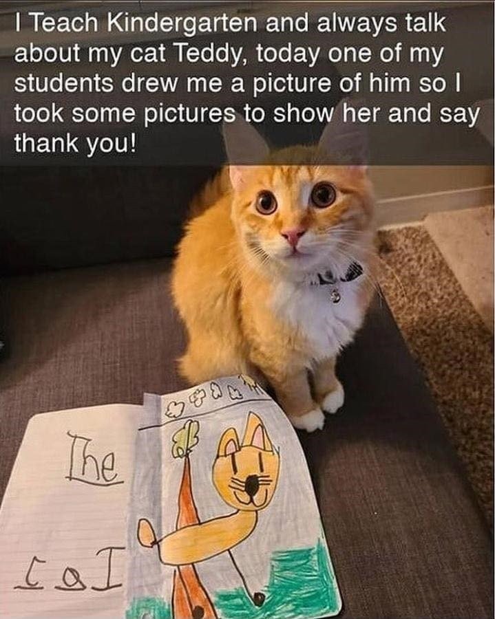 Cute teachers cat Teddy with childrens drawing, showcasing pet inspiration and kindergarten creativity.