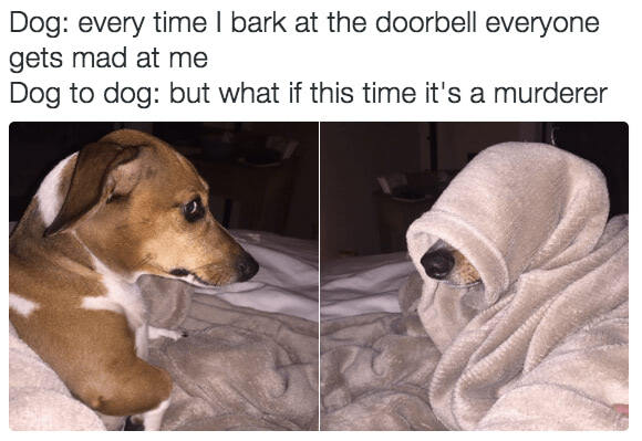 Humorous comic of dogs reacting to doorbell, with one worried and the other dressed as a ghost.