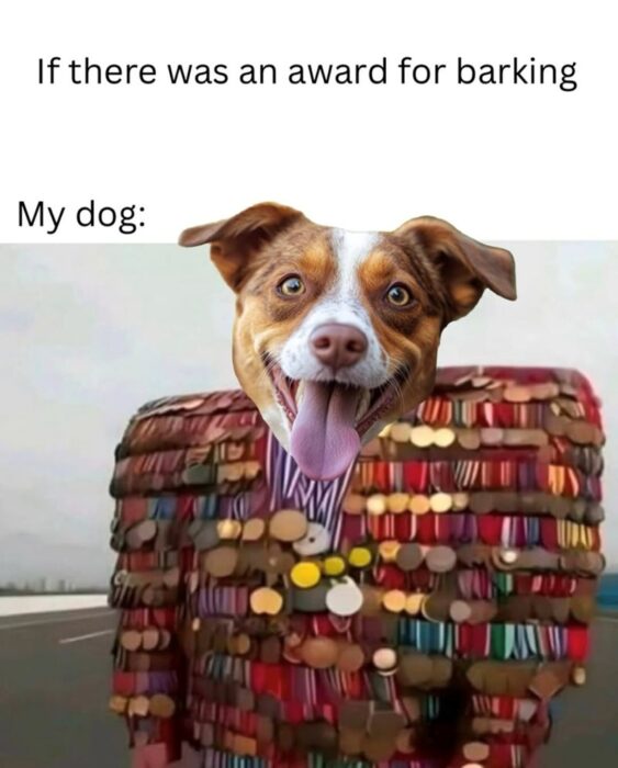 Humorous dog dressed as a decorated soldier for barking award, celebrating canine loyalty and humor.