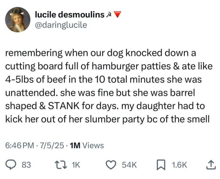 Humorous pet story about dog overeating beef, resulting in smell and family chaos.