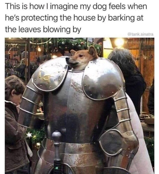 Shiba Inu dog wearing medieval knight armor guarding house, funny pet protection concept.