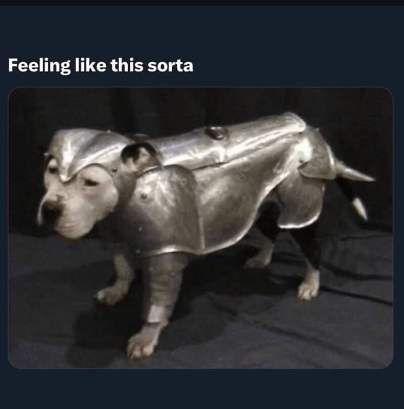 Adorable pit bull in shiny medieval knight armor, humorously showcasing courage and curiosity.