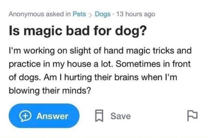 Question about effects of magic tricks on dogs brains and behavior.