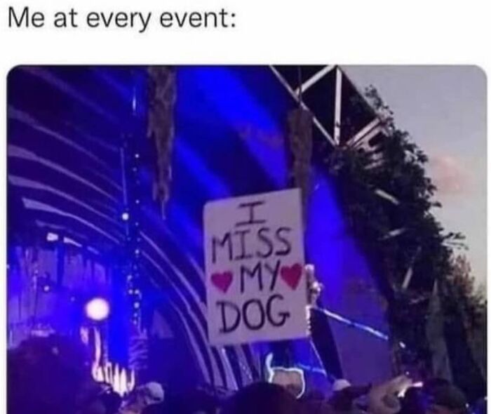 Crowd at outdoor music festival with a sign saying I Miss My Dog showing pet owner emotion.