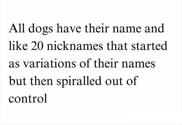 Funny dog names and nicknames showing playful pet owner affection and creative naming humor.