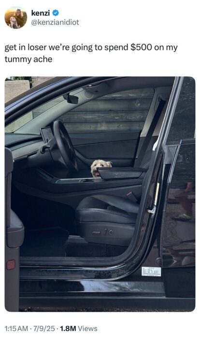 Cute dog peeking from car interior, funny pet owner moment in modern Tesla vehicle.