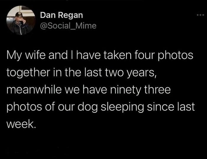Humorous tweet about couples few photos together versus hundreds of sleeping dog photos.