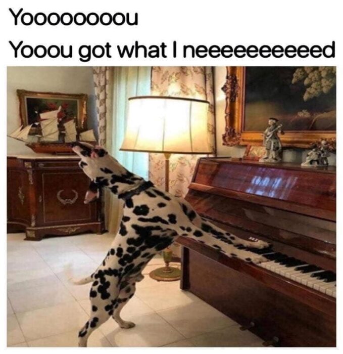 Adorable Dalmatian dog passionately playing grand piano with playful lyrics and cozy home decor.