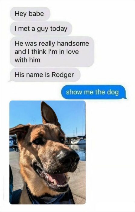 Playful text exchange about handsome dog Rodger, showcasing humor and friendship among pet lovers.