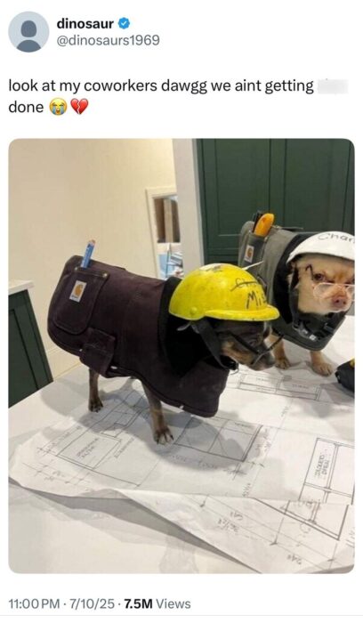 Cute dogs dressed as construction workers with blueprints in a cozy indoor workspace.
