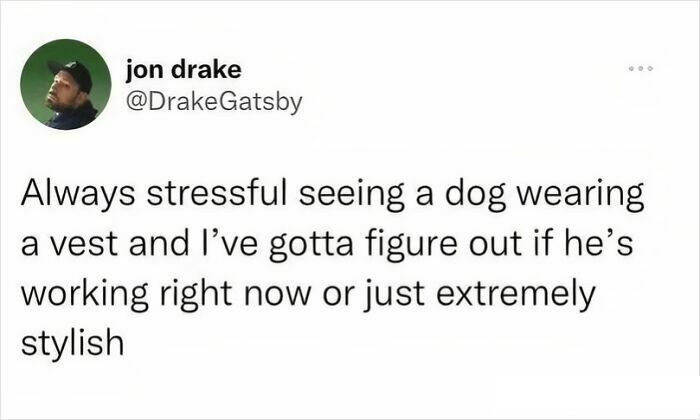 A humorous tweet discussing dogs in vests, blending pet fashion and service dog roles.