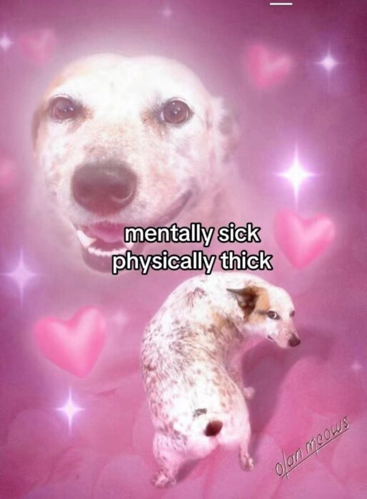 Funny dog with pink background, hearts, sparkle, and playful mentally sick but physically thick text.
