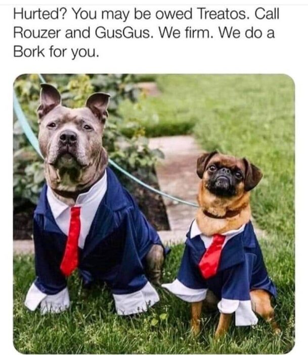Cute dogs in business suits as attorneys, promoting treat claims with humorous legal wordplay.