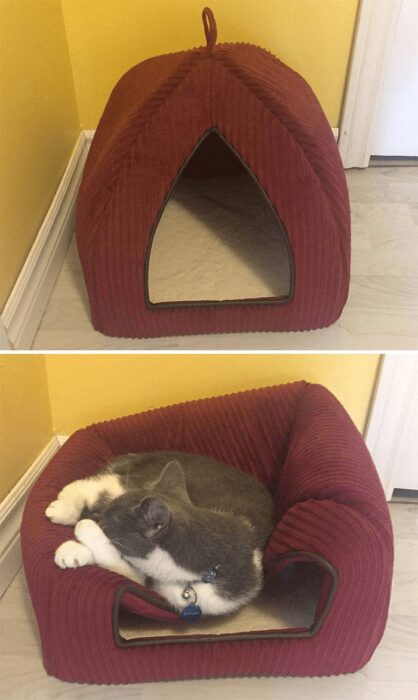 Versatile burgundy corduroy cat bed in house and lounge styles with cozy, stylish design.