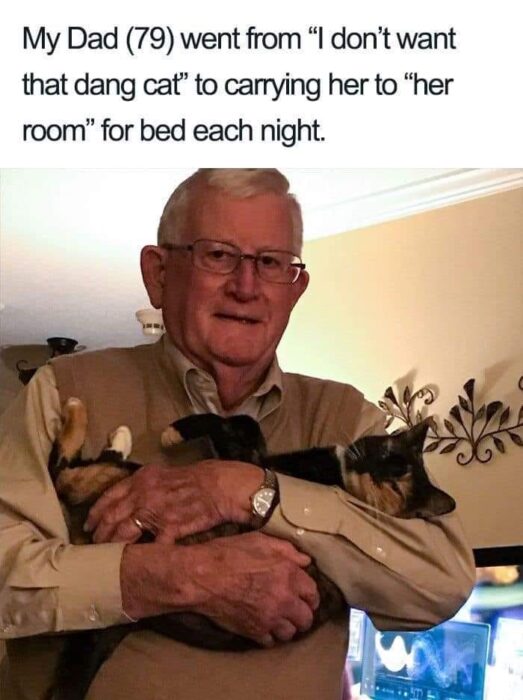 Elderly man happily cuddling a relaxed cat in a cozy home setting.