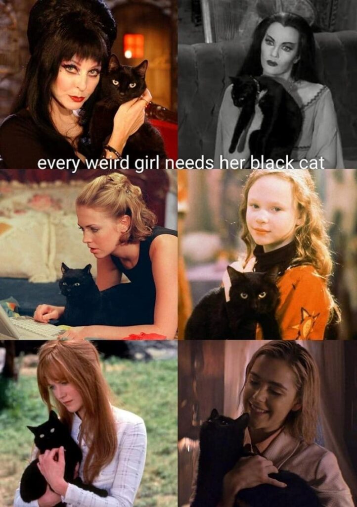 Women with black cats showcasing gothic, casual, and playful styles in a diverse collage.