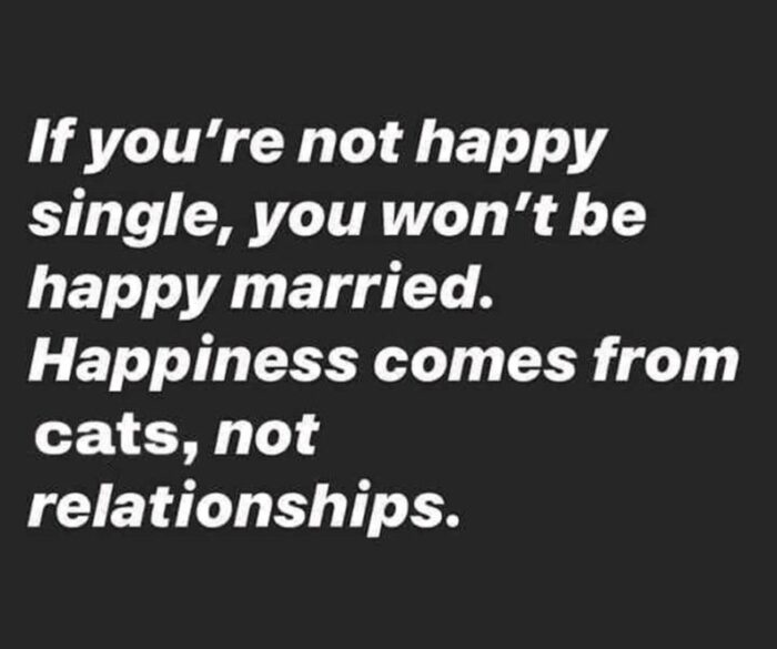 Happy single life and cats bring true happiness, not relationships.