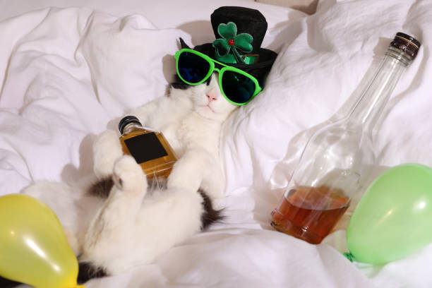 Playful black and white cat wearing a shamrock hat, sunglasses, and celebrating with balloons.