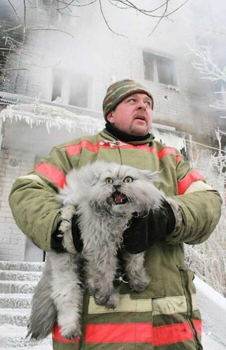 Firefighter rescuing distressed cat from burning, smoky ice-covered building in winter rescue scene.