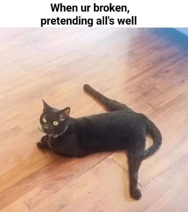 Black cat lying awkwardly on wooden floor, symbolizing emotional struggle and resilience.