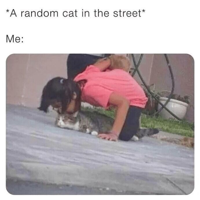 Young girl plays with a relaxed gray cat outdoors on a sunny sidewalk.