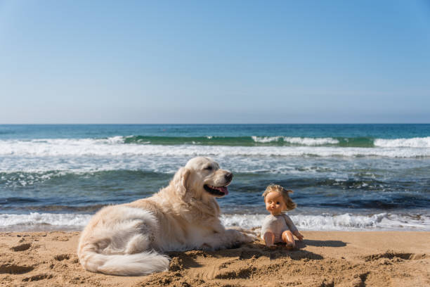 Golden retriever and vintage doll enjoying a sunny beach scene with ocean waves.