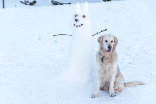Golden retriever sitting next to a playful snowman in a snowy winter landscape.