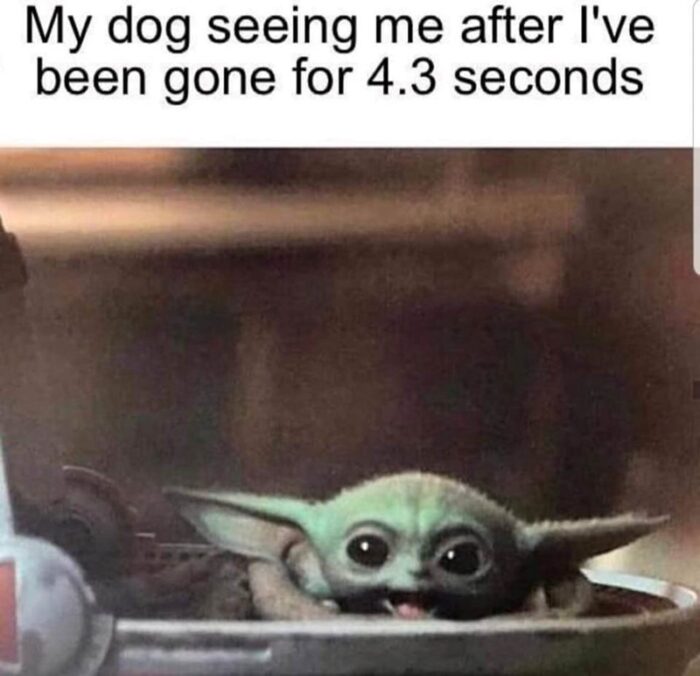 Cute green baby alien excited like loyal dog reunion meme.