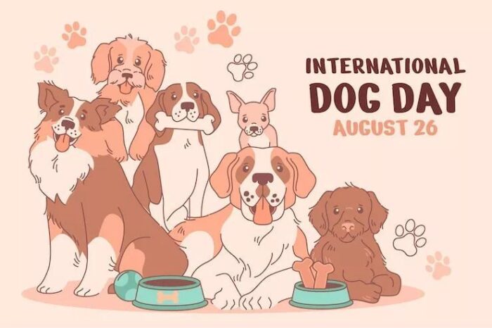 Celebrating International Dog Day with adorable dog breeds, playful paw prints, and colorful care bowls.