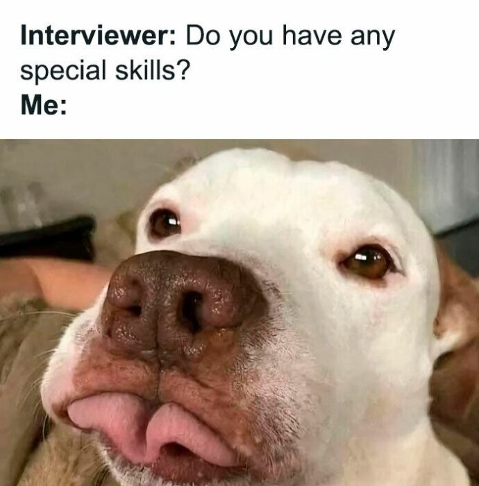 Playful dog interview meme with funny expression and tongue out.