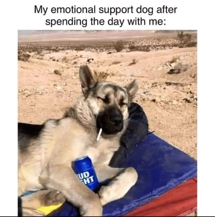 Relaxed German Shepherd relaxing in desert with beer and straw, capturing humorous pet leisure scene.