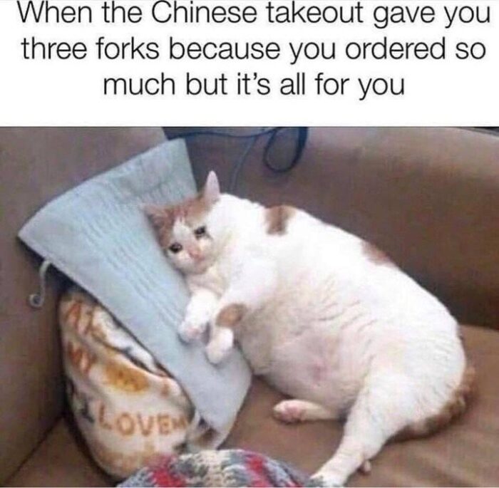 Lazy, overindulgent cat relaxing on couch with Chinese takeout and three forks.