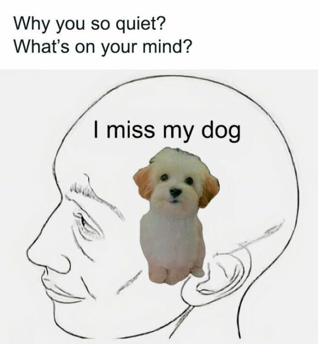 Man quietly thinking about missing his dog in a cartoon profile illustration.