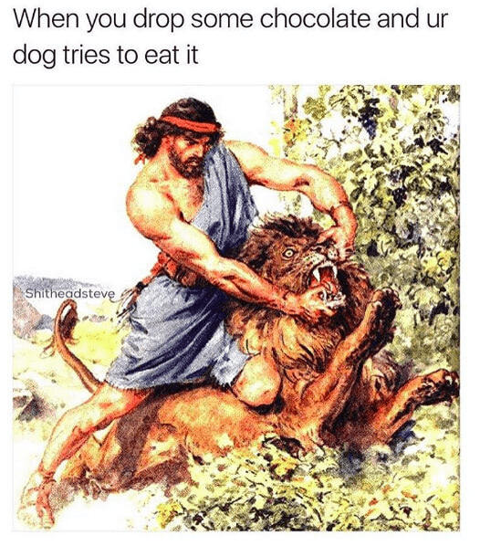 Mythological hero fighting lion over chocolate while dog tries to eat it, humorous pet meme scene.