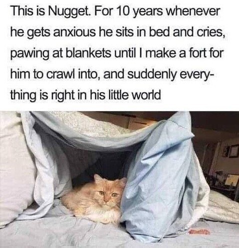 Fluffy orange cat Nugget relaxing in a cozy blanket fort for comfort and anxiety relief.